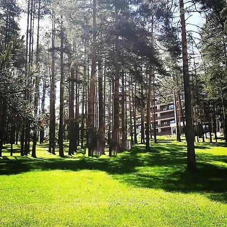 Panorama Lux Vila Pekovic Apartment